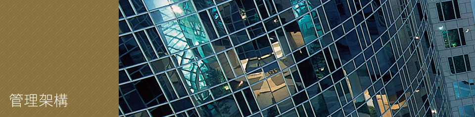 Management Structure